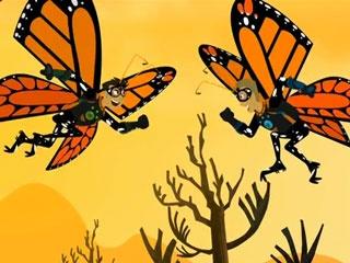 Migrating Monarchs | PBS LearningMedia